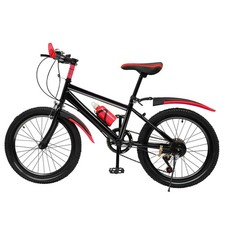 Bicicletta Bambino 20 Pollici