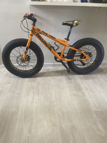 Bicicletta bottecchia - bicicletta,